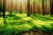 2026世界杯倒计时：墨西哥阿兹特克球场宣布将成为全球首个三办世界杯的球场。