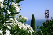 世界保龄球巡回赛城市站高校联动示范点揭牌，世界保龄球大赛